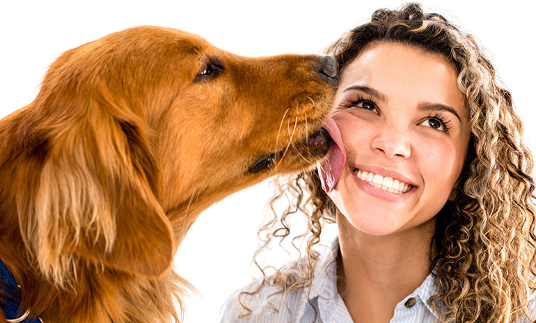 Why do dogs lick you?