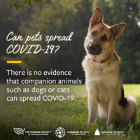CDC Update 1/19/2021: COVID-19 and Animals